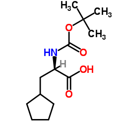 (R)-2-((叔丁氧基羰基)氨基)-3-环戊基丙酸结构式