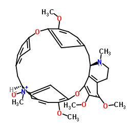 Isotetrandrine N-2'-oxide structure