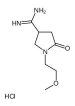 1-(2-methoxyethyl)-5-oxopyrrolidine-3-carboximidamide,hydrochloride Structure