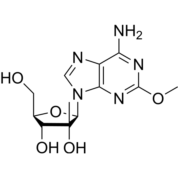 2′-β-C-Methyl-2-methoxyadenosine Structure