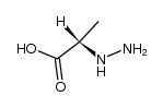 (S)-α-hydrazinopropionic acid Structure