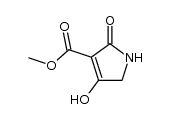 2,5-dihydro-4-hydroxy-2-oxo-1H-Pyrrole-3-carboxylic acid Methyl ester structure