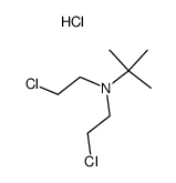 N-t-butyl-bis-(2-chloroethyl)amine hydrochloride Structure