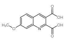 7-甲氧基喹啉-2,3-二羧酸结构式