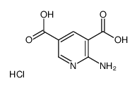 2-Aminopyridine-3,5-dicarboxylic acid hydrochloride Structure