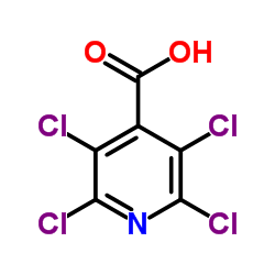 2,3,5,6-Tetrachloroisonicotinic acid Structure