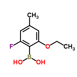 2-Ethoxy-6-fluoro-4-methylphenylboronic aicd结构式