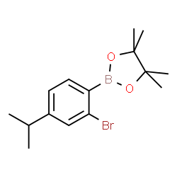 2-Bromo-4-isopropylphebylboronic acid pinacol ester结构式