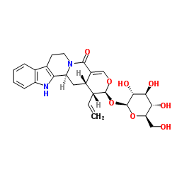 异长春花苷内酰胺结构式