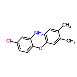 5-Chloro-2-(3,4-dimethylphenoxy)aniline Structure
