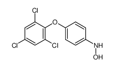N-[4-(2,4,6-trichlorophenoxy)phenyl]hydroxylamine结构式
