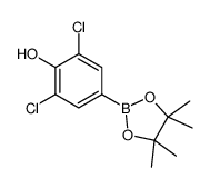 2,6-二氯-4-(4,4,5,5-四甲基-1,3,2-二氧杂环戊硼烷-2-基)苯酚结构式
