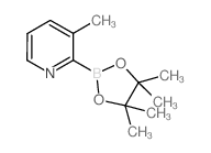 3-Methylpyridine-2-boronic acid pinacol ester Structure