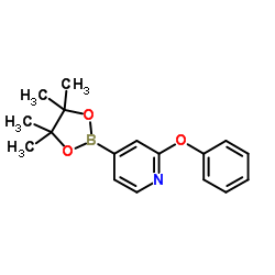 2-Phenoxypyridine-4-boronic acid pinacol ester Structure