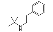 2-methyl-N-(2-phenylethyl)propan-2-amine Structure