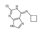 2-chloro-N-cyclobutyl-7H-purin-6-amine Structure