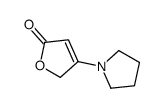 3-pyrrolidin-1-yl-2H-furan-5-one Structure