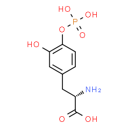 DOPA 4-phosphate structure
