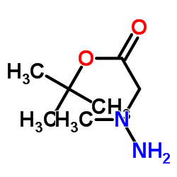 N-Amino-N-methylglycine tert-butyl ester Structure