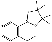 4-乙基吡啶-3-硼酸频哪醇酯结构式