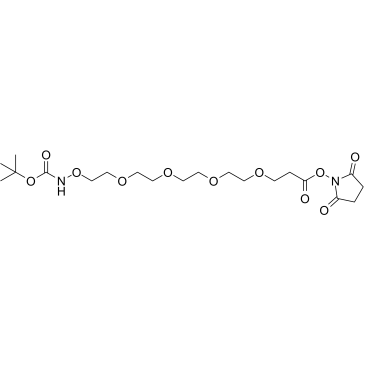 t-Boc-Aminooxy-PEG4-NHS ester Structure