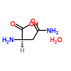L-Asparagine monohydrate Structure