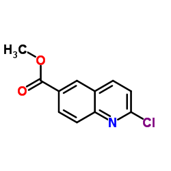 2-氯喹啉-6-羧酸甲酯结构式
