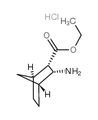 乙基3-外双环氨基[2.2.1]庚烷-2-内羧酸盐酸盐结构式