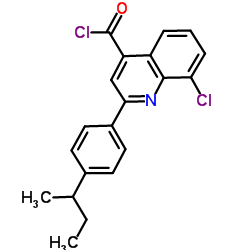 2-(4-sec-Butylphenyl)-8-chloro-4-quinolinecarbonyl chloride结构式