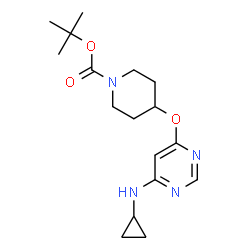 4-(6-环丙基氨基-嘧啶-4-基氧基)-哌啶-1-羧酸叔丁基酯结构式