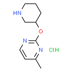 4-Methyl-2-(piperidin-3-yloxy)-pyrimidine hydrochloride Structure