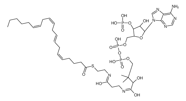 arachidonoyl-CoA结构式