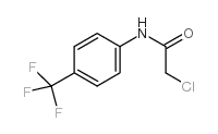 N-氯乙酰-4-(三氟甲基)苯胺结构式
