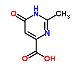 2-methyl-6-oxo-1,6-dihydropyrimidine-4-carboxylic acid Structure