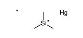 methylmercury,trimethylsilicon Structure