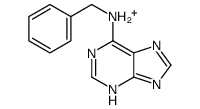 N-benzyl-7H-purin-1-ium-6-amine Structure