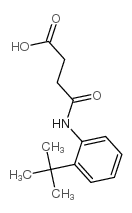 4-(2-tert-butylanilino)-4-oxobutanoic acid Structure