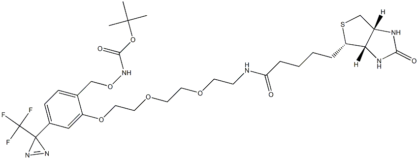 [[2-[2-[2-[2-[[5-[(3AS,4S,6AR)-六氢-2-氧代-1H-噻吩并[3,4-D]咪唑-4-基]-1-氧代戊基]氨基]乙氧基]乙氧基]乙氧基]-4-[3-(三氟甲基)-3H-双吖丙啶-3-基]苯基]甲氧基]氨基甲酸叔丁酯结构式