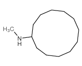 n-methylcyclododecylamine picture