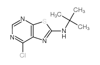 叔丁基-(7-氯噻唑并[5,4-d]嘧啶-2-基)-胺结构式