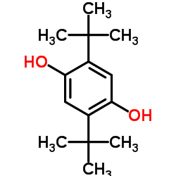 2,5-二叔丁基对苯二酚结构式