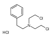 N,N-bis(2-chloroethyl)-2-phenylethanamine,hydrochloride Structure