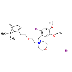 匹维铵杂质IV结构式