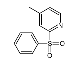2-(benzenesulfonyl)-4-methylpyridine Structure