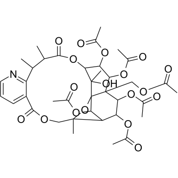 Evonine Structure