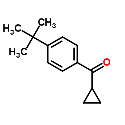 对叔丁基苯基环丙基甲酮结构式