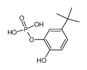 phosphoric acid mono(5-t-butyl 2-hydroxyphenyl) ester Structure
