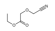 ethyl 2-(cyanomethoxy)acetate Structure