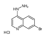7-BROMO-4-HYDRAZINOQUINOLINE HYDROCHLORIDE Structure