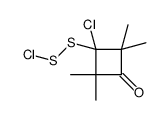 (1-chloro-2,2,4,4-tetramethyl-3-oxocyclobutyl)sulfanyl thiohypochlorite结构式